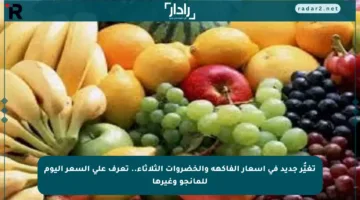 تغيُّر جديد في أسعار الفاكهة والخضروات الثلاثاء.. تعرف على السعر اليوم للمانجو وغيرها